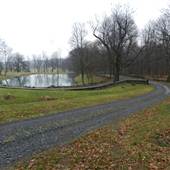 WILD GOOSE FARM - Grounds