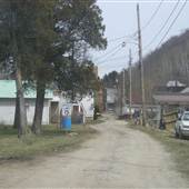 FRIENDLY - Orchard Street