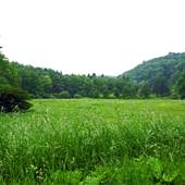 WHITMER - Whitmer Road (CR 29)