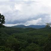 SENECA STATE FOREST - Overview