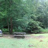 KANAWHA STATE FOREST - Ellison Pond Area