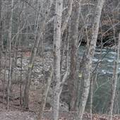 C. H. Charlton Bridges