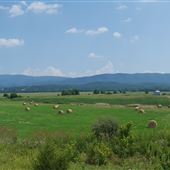 Moorefield-South Branch Potomac River Valley