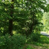 Village of Sugar Grove