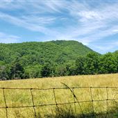 Sweet Springs-Cove Creek Rd