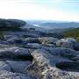 DOLLY SODS - _Sampler