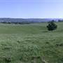 Sibold Farm