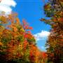 SPRUCE KNOB - Spruce Knob Area