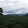 SENECA STATE FOREST - Overview