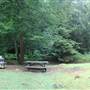 KANAWHA STATE FOREST - Ellison Pond Area