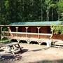 Ace Adventure Resort - Cabins