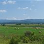 Moorefield-South Branch Potomac River Valley