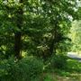 Village of Sugar Grove