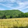 Sweet Springs-Cove Creek Rd