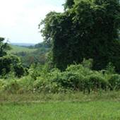 WINDSOR HEIGHTS - Apple Pie Ridge Road (CR 28)