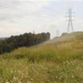 WEIRTON - Murphy Avenue Overlook
