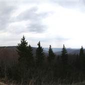 Highland Scenic Highway - 08, Williams River Valley Scenic Overlook