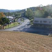 MAYSVILLE - Overviews