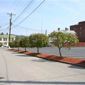 SHINNSTON - Davis Street