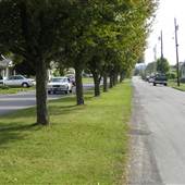 BUCKHANNON - Camden Avenue