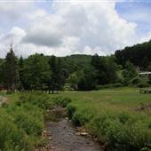 PICKENS - Community Views