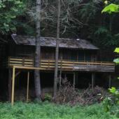 [KEEP HIDDEN] 7362 Thorn Creek Road - Cabins