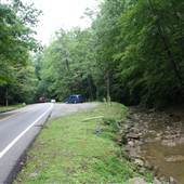 COONSKIN PARK - First Picnic Area
