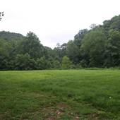KANAWHA STATE FOREST - Area Across from Archery Range