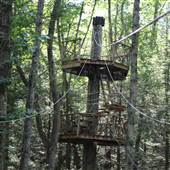 Ace Adventure Resort - Zip Lines