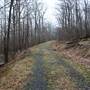 DOLLY SODS - Forest Road 782