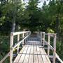 MAYSVILLE - Pedestrian Bridge