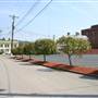 SHINNSTON - Davis Street