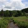 PICKENS - Community Views