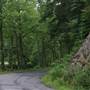 MOYERS - Thorn Creek Road (CR 20)