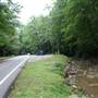 COONSKIN PARK - First Picnic Area