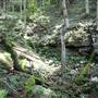 Hawks Nest Rail Trail