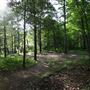 Greenbrier River-Anthony