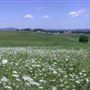 Monroe County-rolling hills