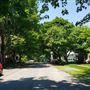 Shepherdstown-residential