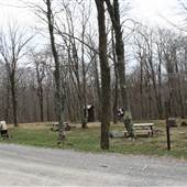 DOLLY SODS - Picnic Ground