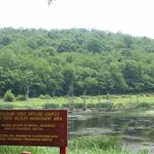 Pleasant Creek Wildlife Management Area