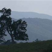 GATES - Gates Road (CR 3/9)