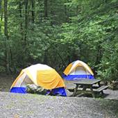 KUMBRABOW STATE FOREST - Mill Creek Camping Area