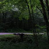 KUMBRABOW STATE FOREST - Camp Bowers