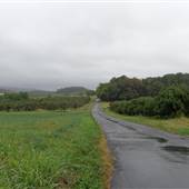 MARTINSBURG - Pitzers Chapel Road