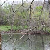 Summers County Bayou