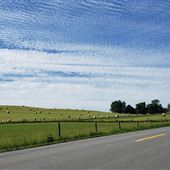 WV University Farm-Willow Bend