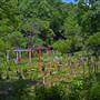 La Paix Herb Farm
