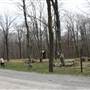 DOLLY SODS - Picnic Ground