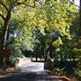 NORTH RIVER MILLS - Springfield Grade Road (CR 45/20), North River Bridge
